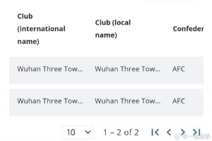 夏窗仍有望引援！武汉三镇的转会禁令已由8条减少到2条